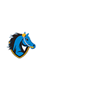 gse